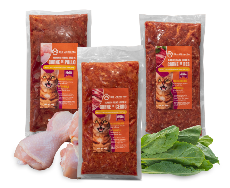 BARF PARA GATOS